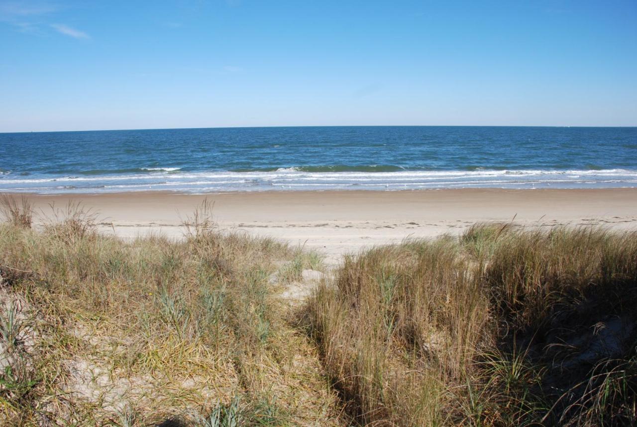 Rustic Rooftop Delight - Bay Front Apts Norfolk Esterno foto