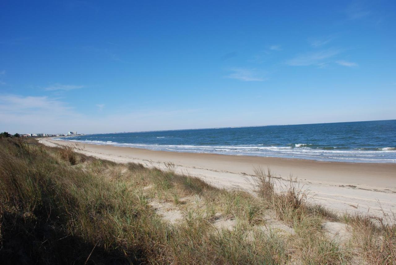 Rustic Rooftop Delight - Bay Front Apts Norfolk Esterno foto