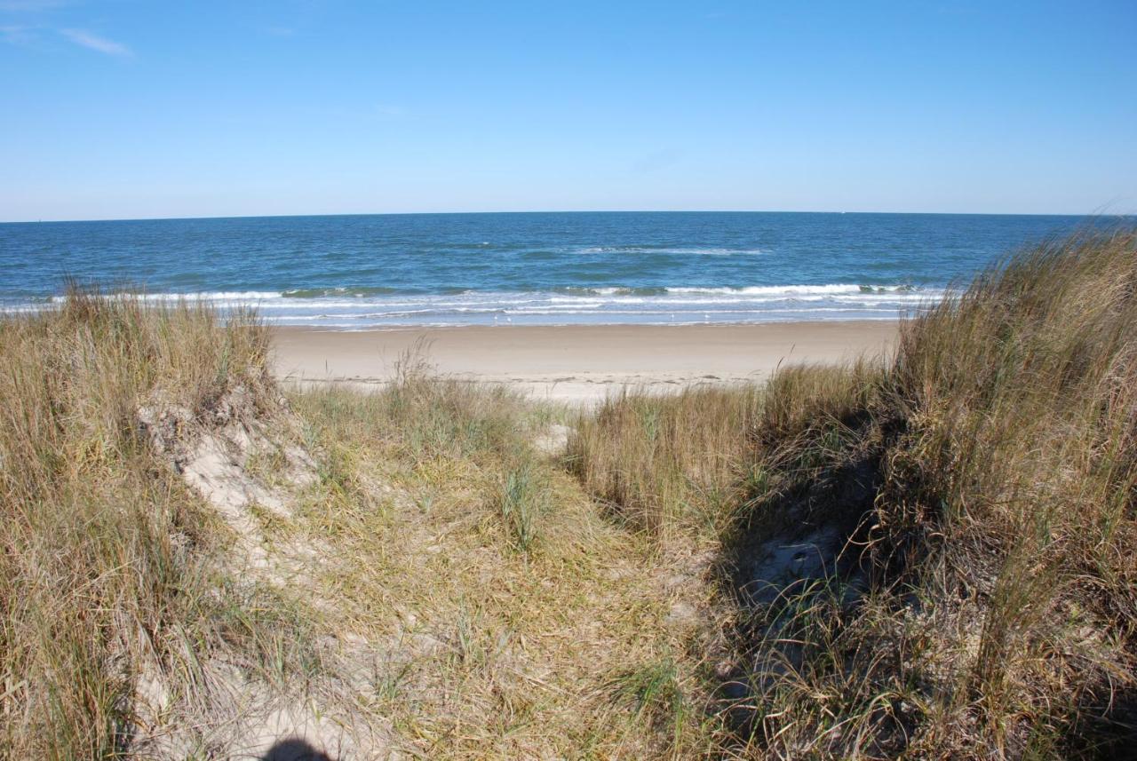 Rustic Rooftop Delight - Bay Front Apts Norfolk Esterno foto